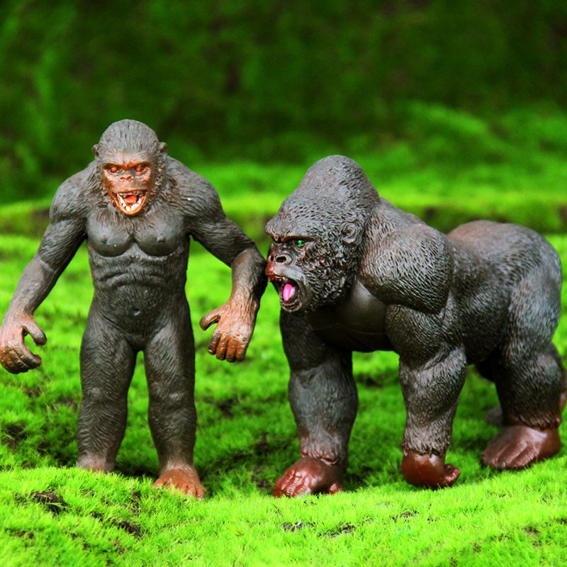 Simulation de singe, carillons - Kids Education Learn Tv avis et prix