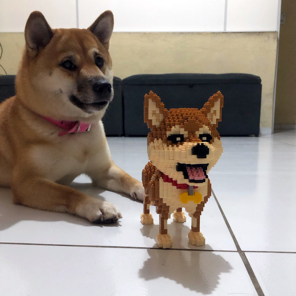 KNEW BUILT Shiba Inu chiens mo - Kids Education Recreation avis et prix